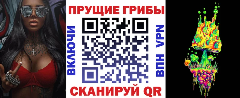 MEGA ссылки  Чадан  Галлюциногенные грибы Psilocybe 